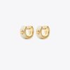 Icon Enamel Huggie Earrings