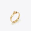 Icon-ring