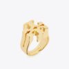 Icon-ring