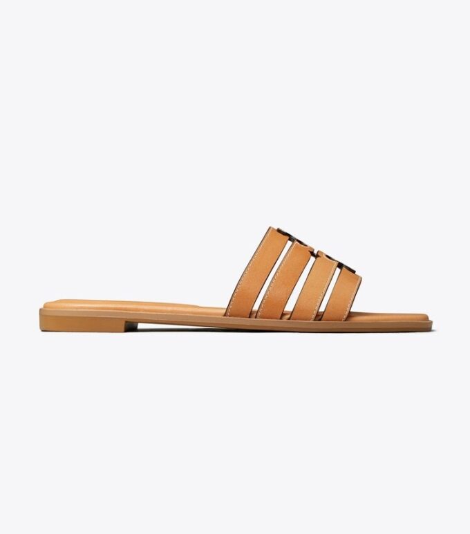 Ines Slide Ines Slide