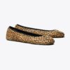 Reva Travel Ballet Reva Travel Ballet