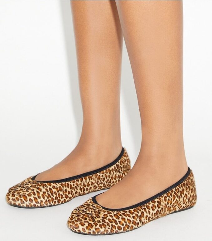 Reva Travel Ballet Reva Travel Ballet