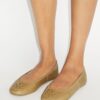 Reva Travel Ballet Reva Travel Ballet
