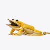 Tory The Toad Pouch Tory The Toad Pouch